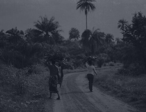 When Foreign Aid Stops, Who Stands?