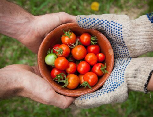 Top Strategies for Community Empowerment